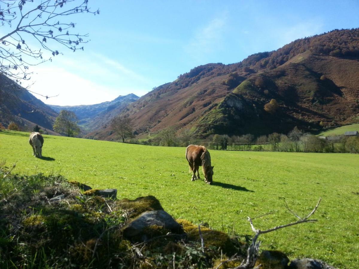 Gite De Montagne Du Plateau De Lhers- Accueil Randonneurs Accous Eksteriør bilde