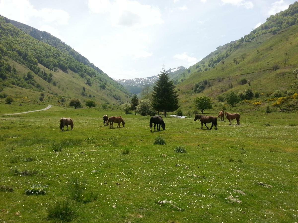 Gite De Montagne Du Plateau De Lhers- Accueil Randonneurs Accous Eksteriør bilde