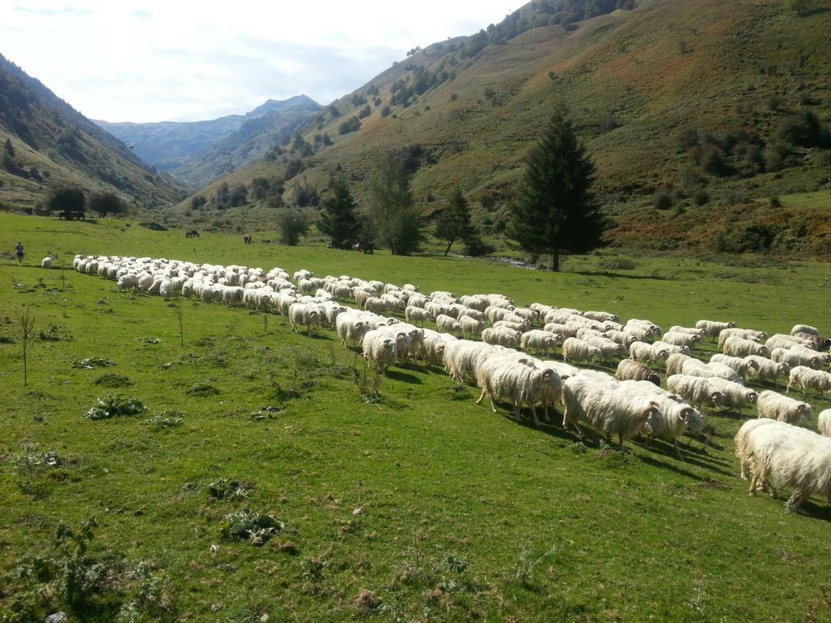 Gite De Montagne Du Plateau De Lhers- Accueil Randonneurs Accous Eksteriør bilde