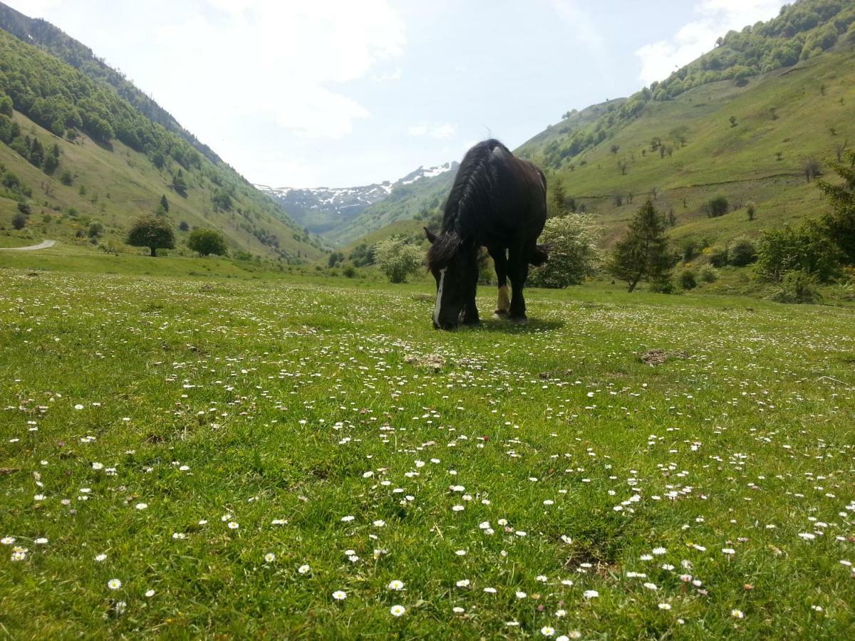 Gite De Montagne Du Plateau De Lhers- Accueil Randonneurs Accous Eksteriør bilde